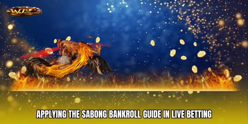 Applying the Sabong Bankroll Guide in Live Betting