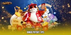 Bingo Payout Tips