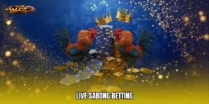 Live sabong betting