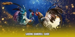 Sabong bankroll guide