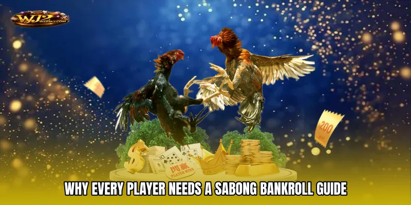 Why Every Player Needs a Sabong Bankroll Guide